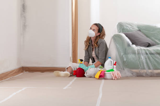 Reliable Black Mold Removal contractor in Belvidere, IL by WQB Mold Removal
